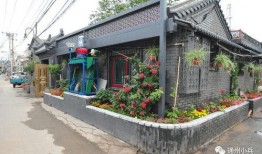 马的最新皮肤爆料2025,华丽蜕变，探寻神秘力量