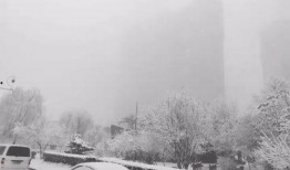 石家庄爆料下雪事件最新,城市交通受阻，市民生活受影响